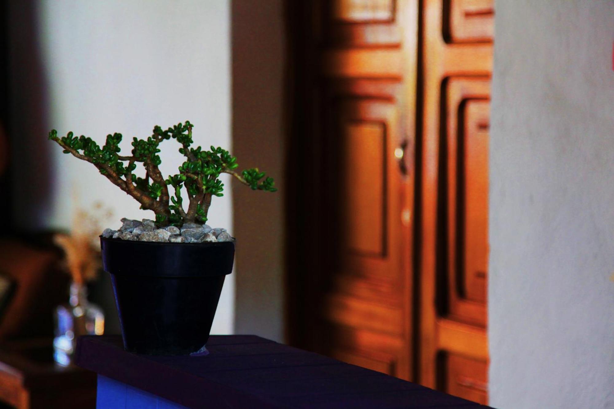 Hostal Antigueeno Antigua Zewnętrze zdjęcie